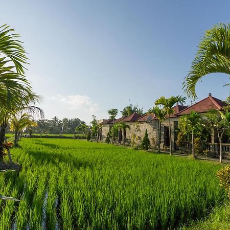 De Sawah Satoe Villa And Resort Ubud Exteriér fotografie