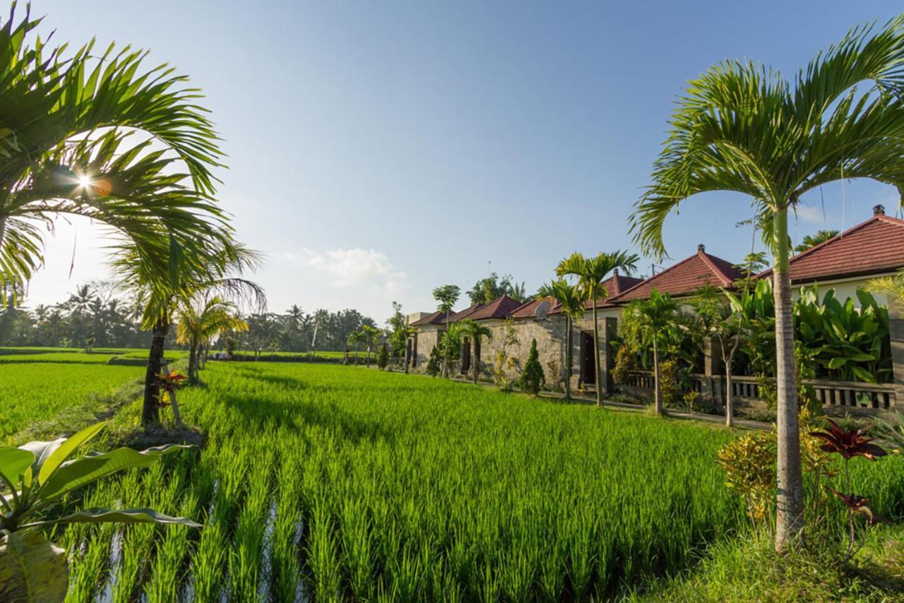 De Sawah Satoe Villa And Resort Ubud Exteriér fotografie