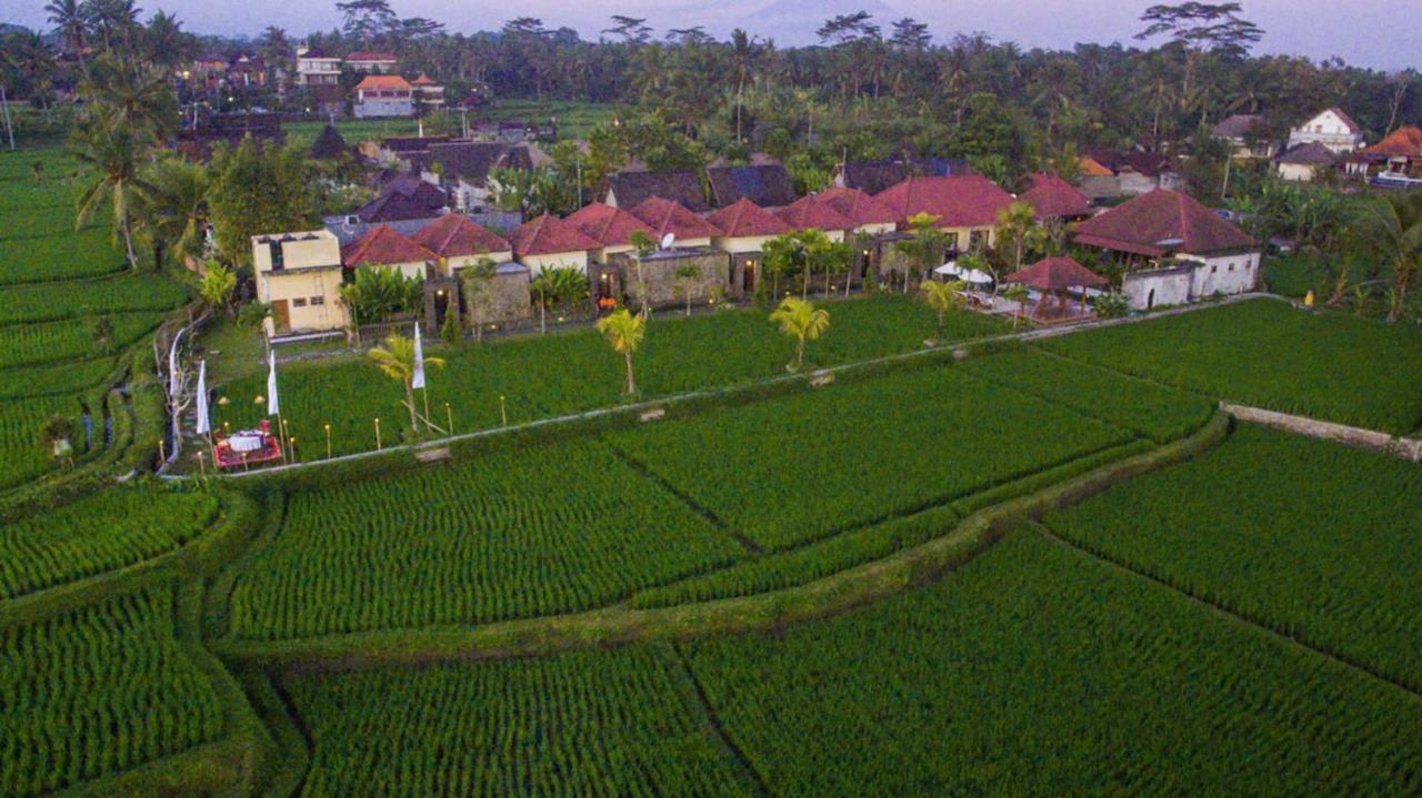 De Sawah Satoe Villa And Resort Ubud Exteriér fotografie