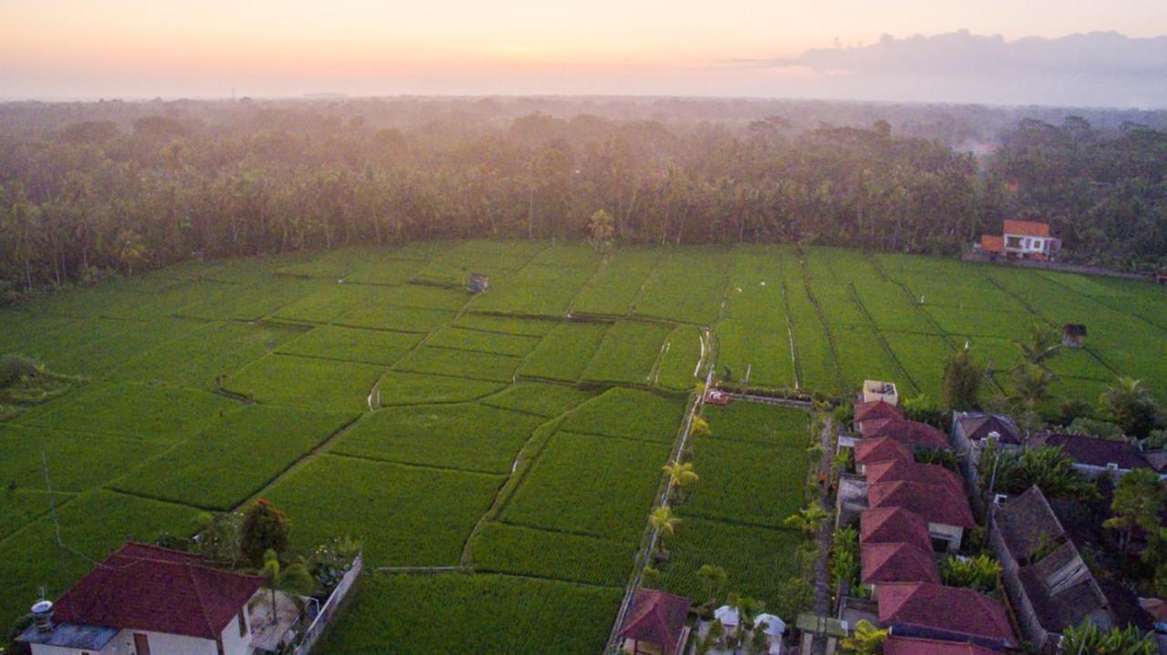 De Sawah Satoe Villa And Resort Ubud Exteriér fotografie