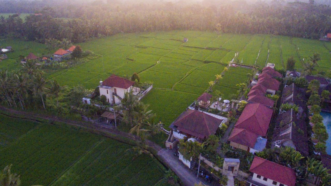 De Sawah Satoe Villa And Resort Ubud Exteriér fotografie